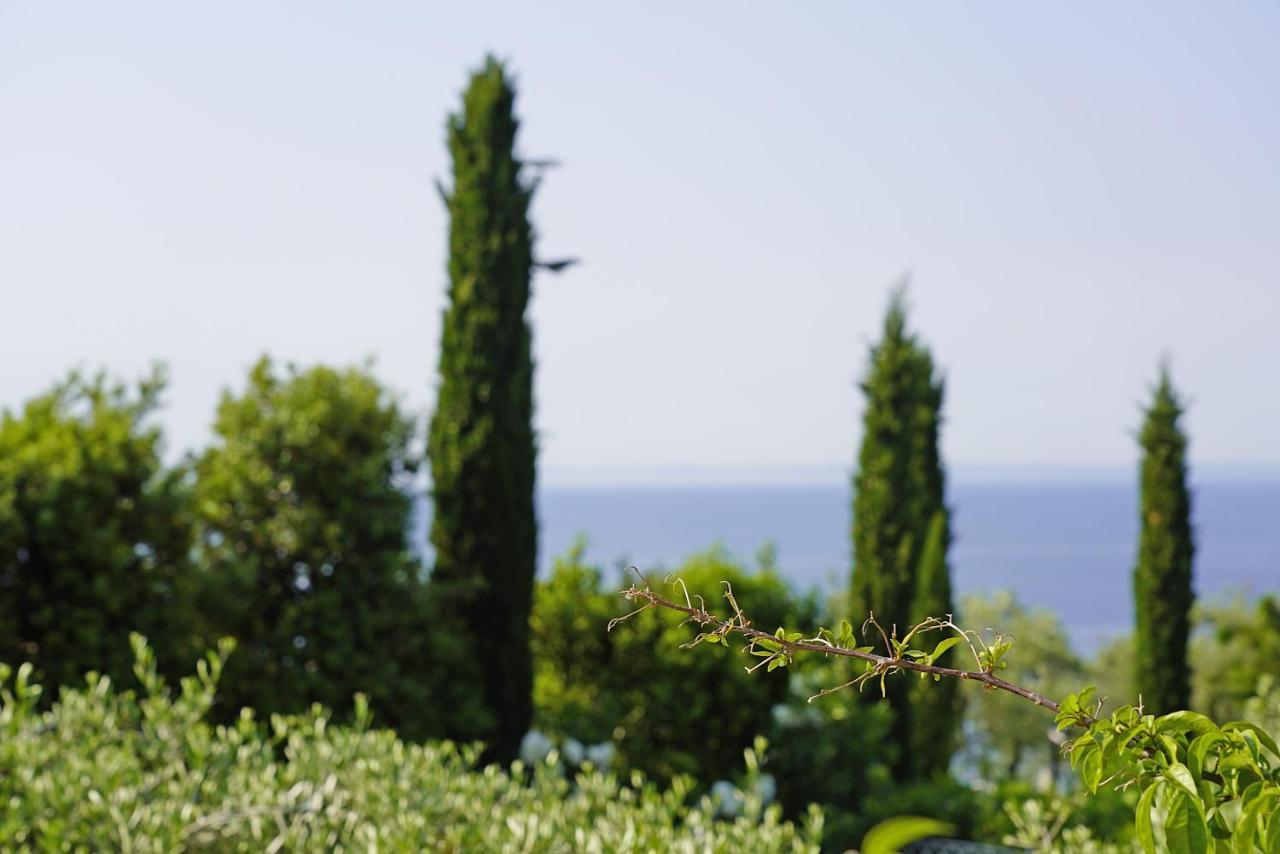 Villa Bouganville Toscolano Maderno Exteriér fotografie